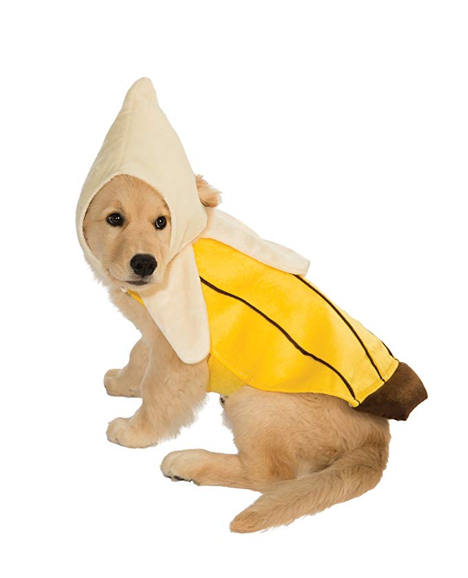 banana-dog-costume