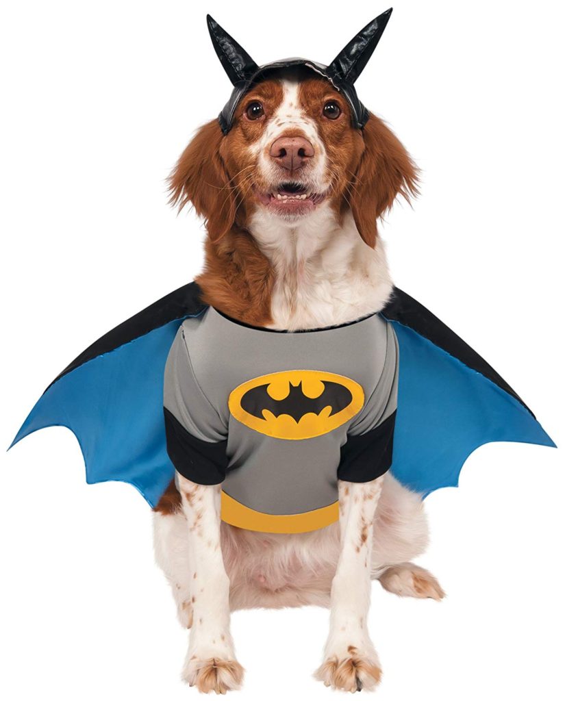 batman-dog-costume