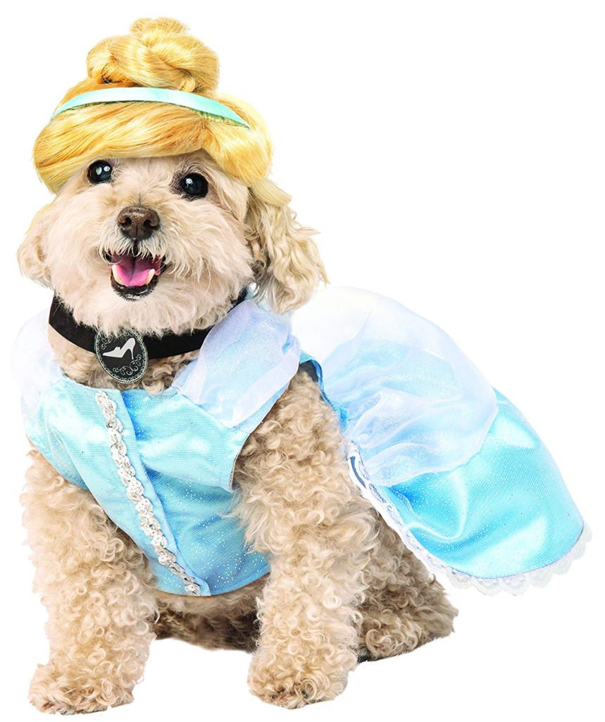 cinderella-dog-costume