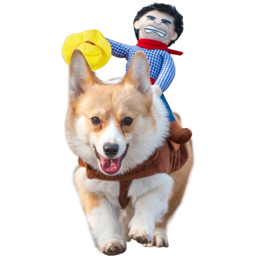 cowboy-rider-dog-costume