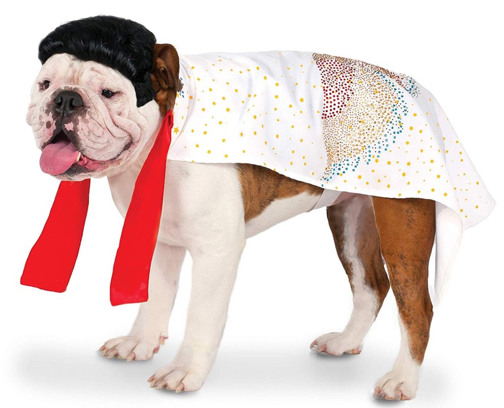 elvis-dog-costume