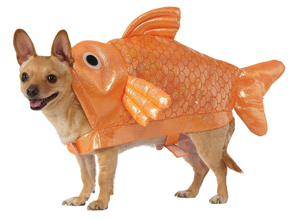 goldfish-dog-costume