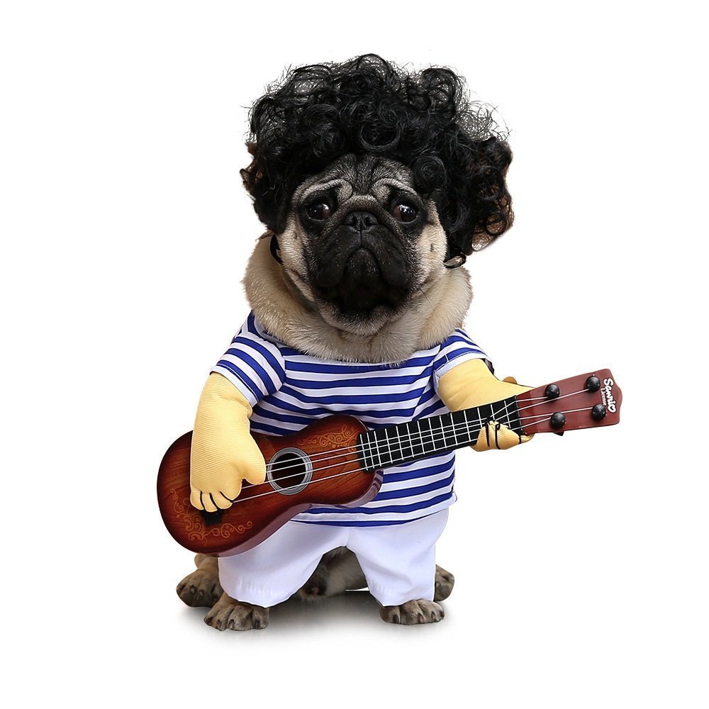 guitar-player-dog-costume