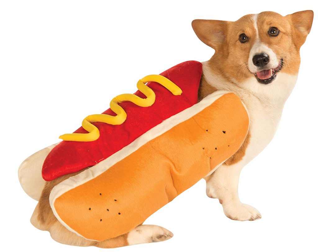 hot-dog-dog-costume