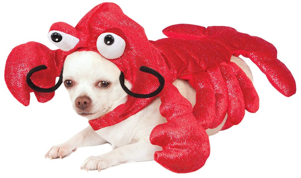 lobster-dog-costume