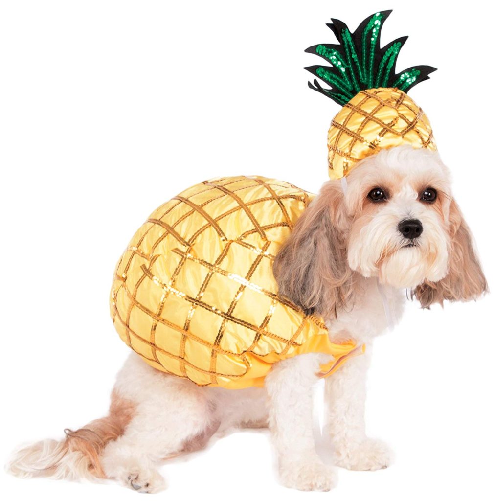 pineapple-dog-costume