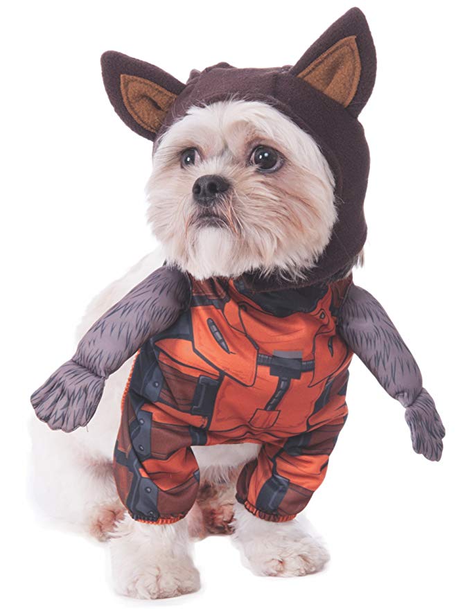 rocket-raccoon-dog-costume