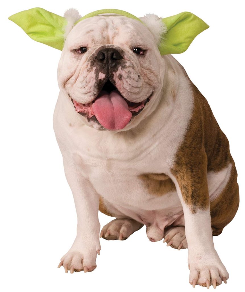 star-wars-yoda-dog-headpiece
