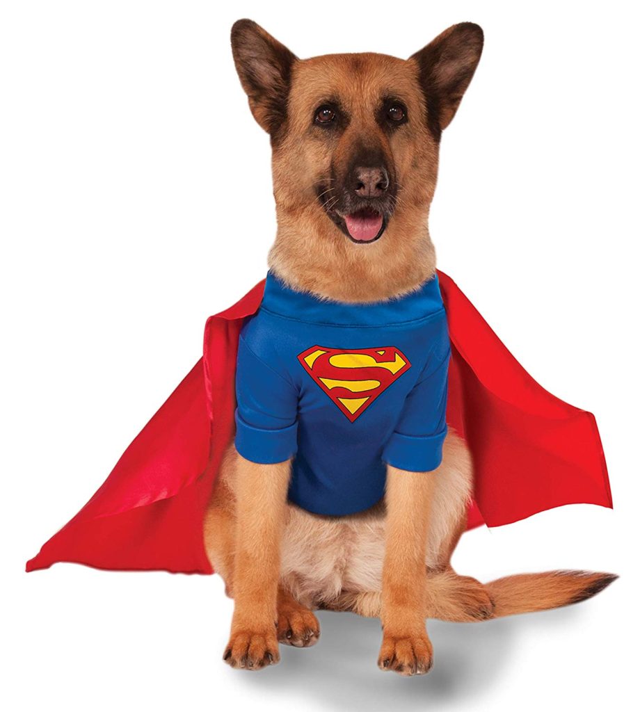 superman-dog-costume