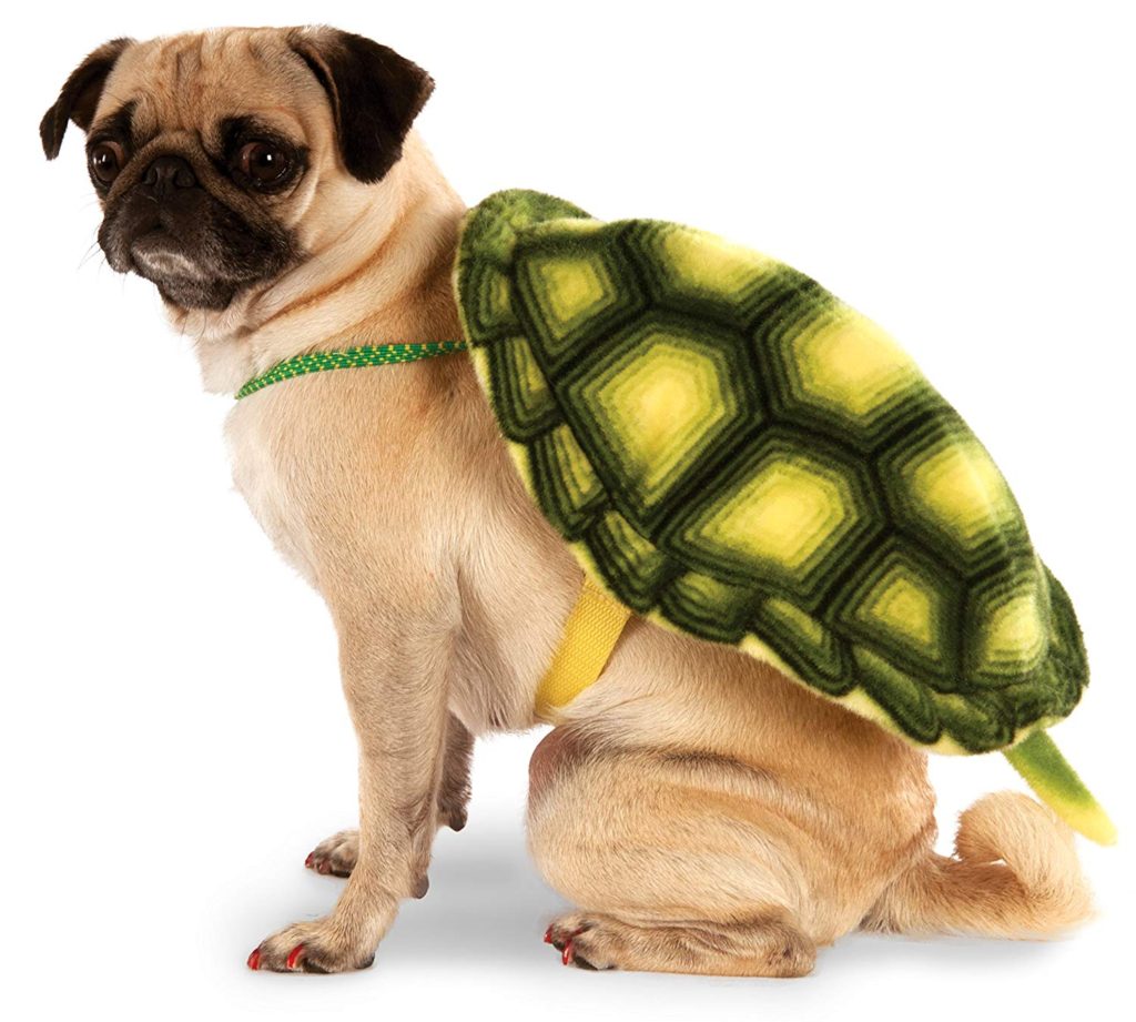 turtle-shell-dog-costume