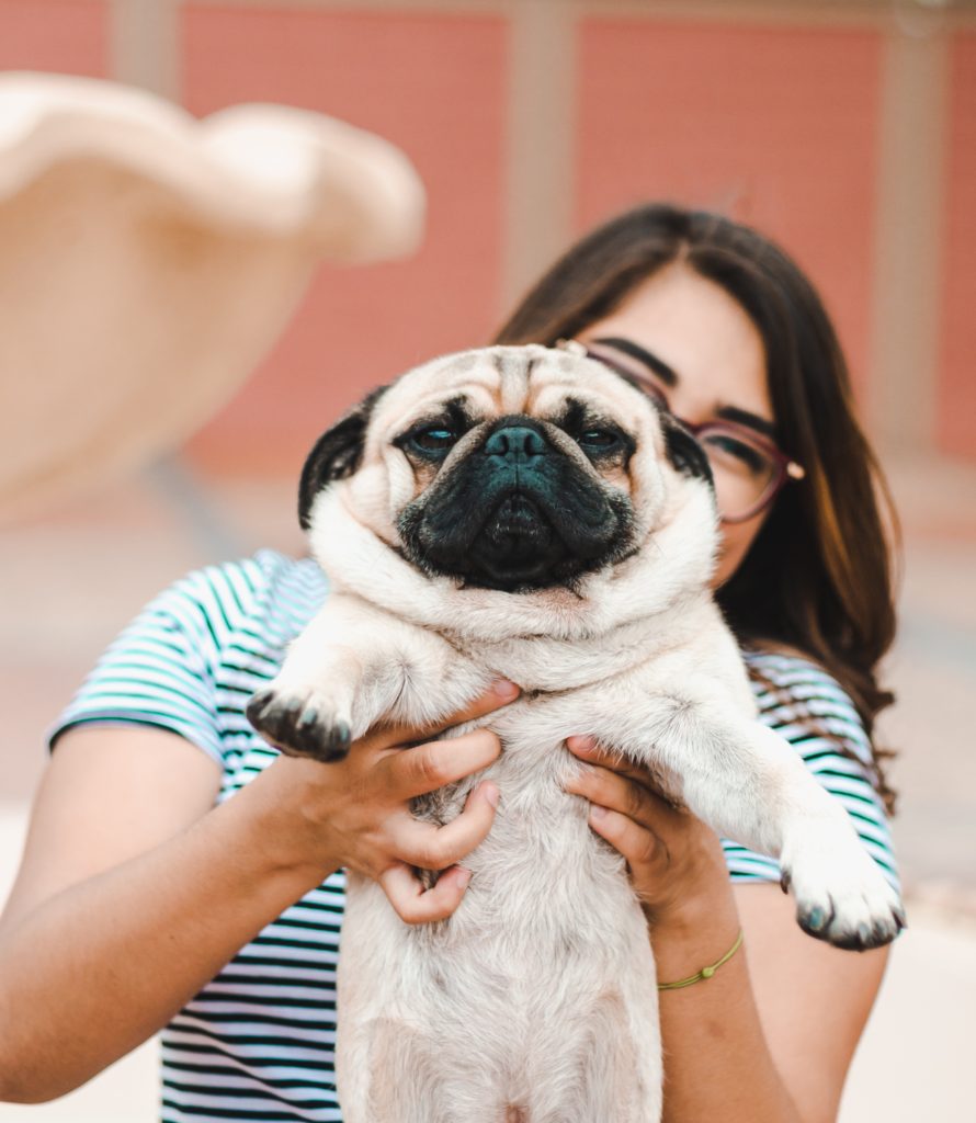 cute-pug-with-woman