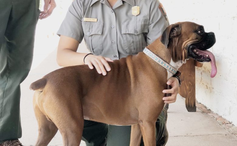 national-public-lands-day-2018-fort-davis-dog-friendly-san-antonio-2