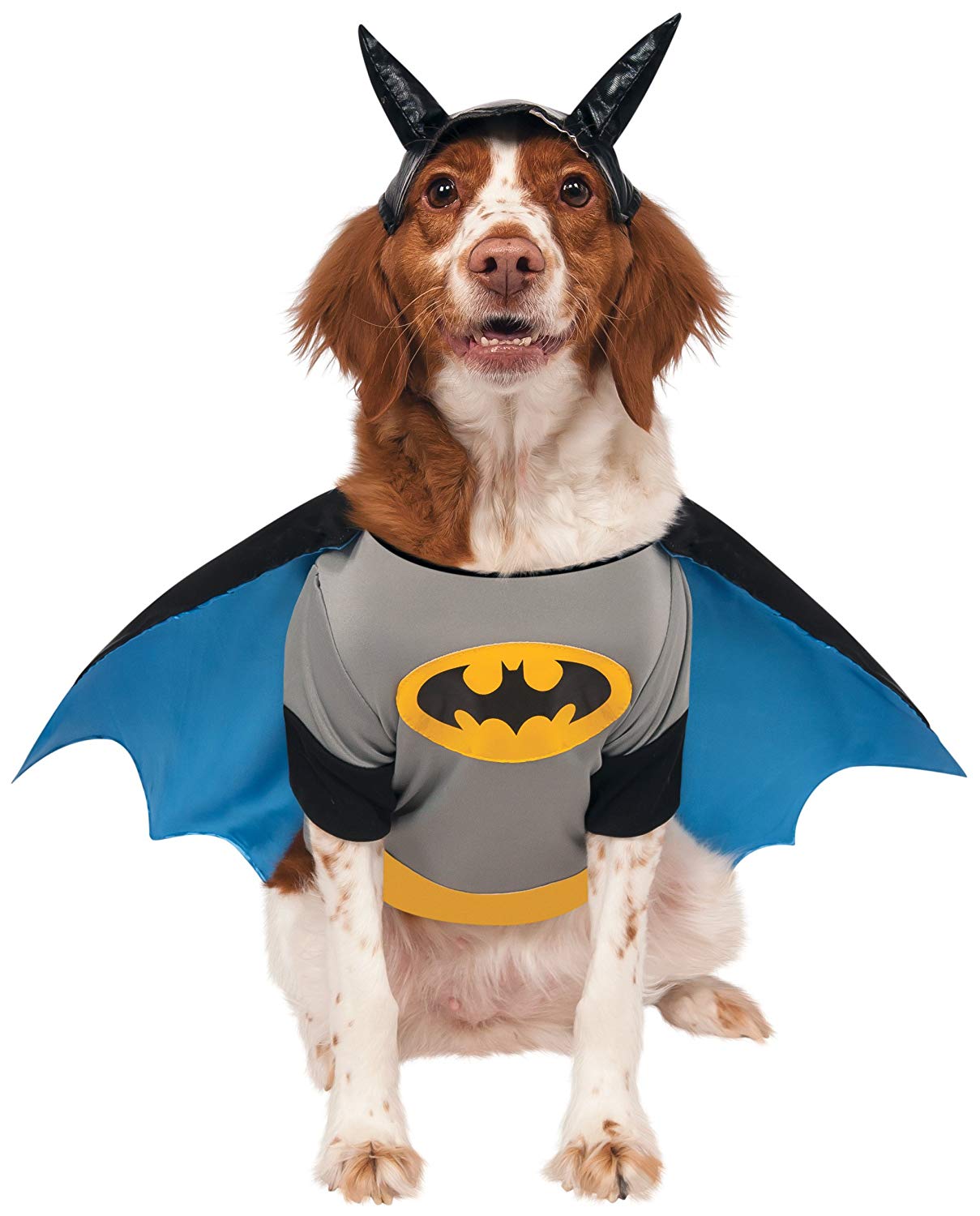 40 Halloween Costumes for Dogs - Dog Friendly San Antonio