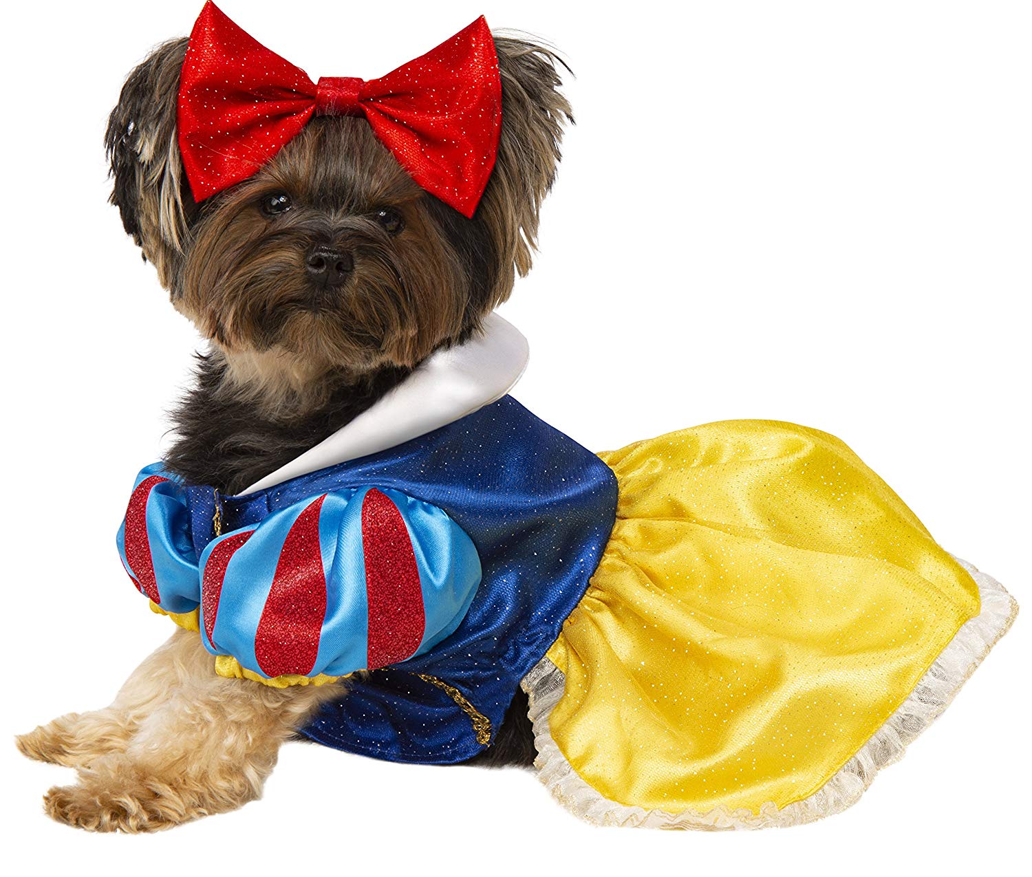 White Dog Costume
 40 Halloween Costumes for Dogs The Dog Guide San Antonio