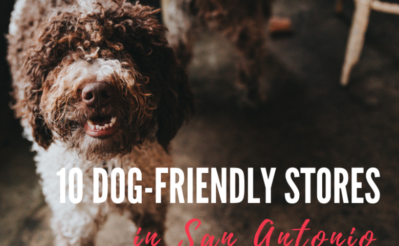 10-dog-friendly-stores-in-san-antonio