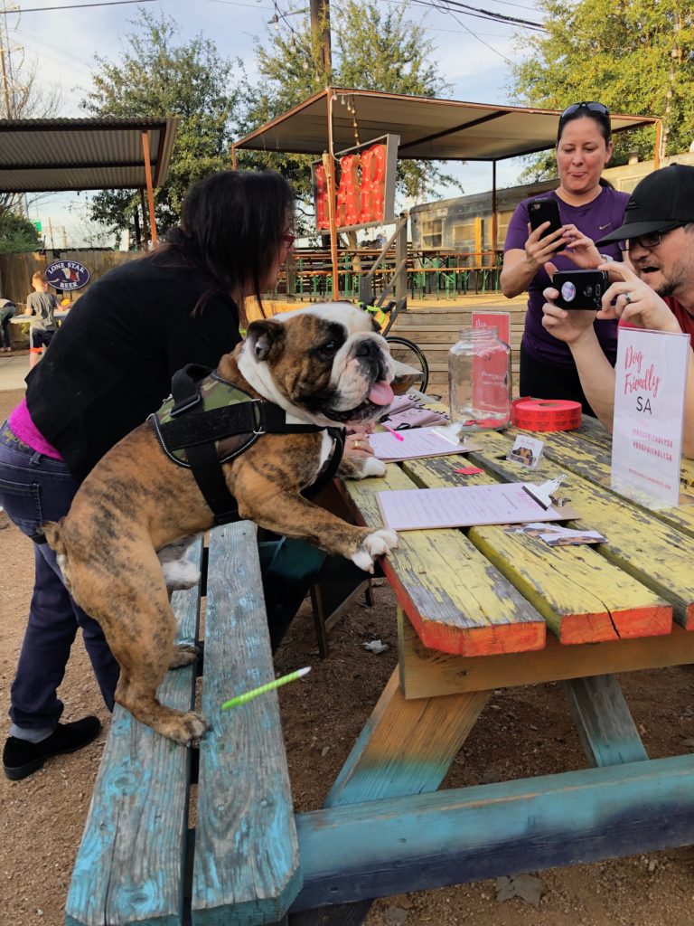 Recap San Antonio Dogs Show up Big at Our First Yappy Hour The Dog