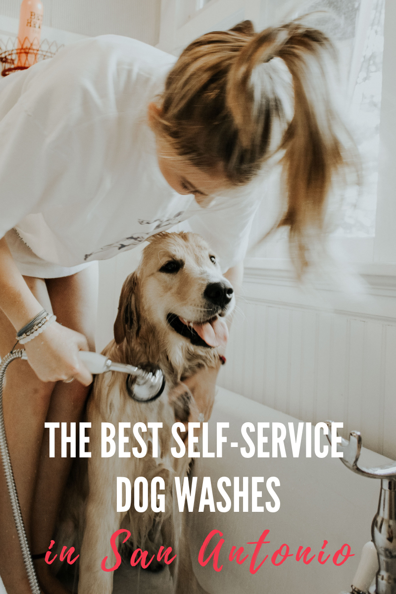 dog wash cost