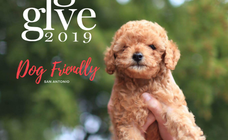 big-give-sa-2019-dog-friendly-san-antonio