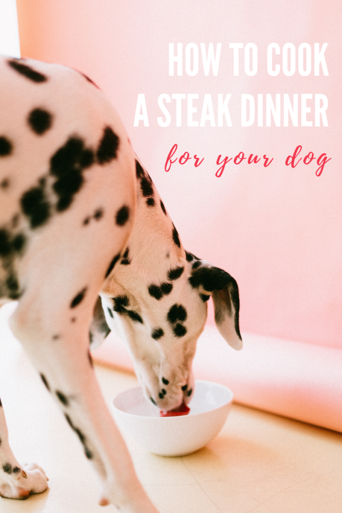 is steak good for puppies