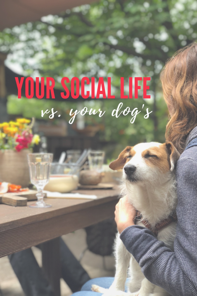 your-social-life-vs-your-dogs-long