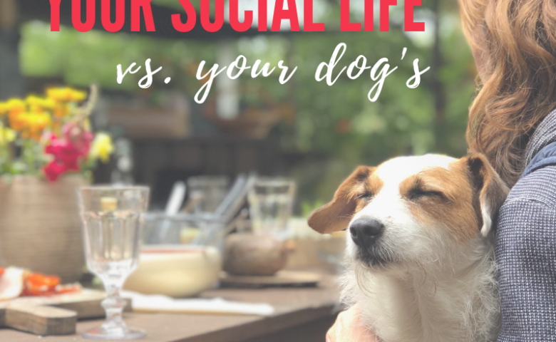 your-social-life-vs-your-dogs-long