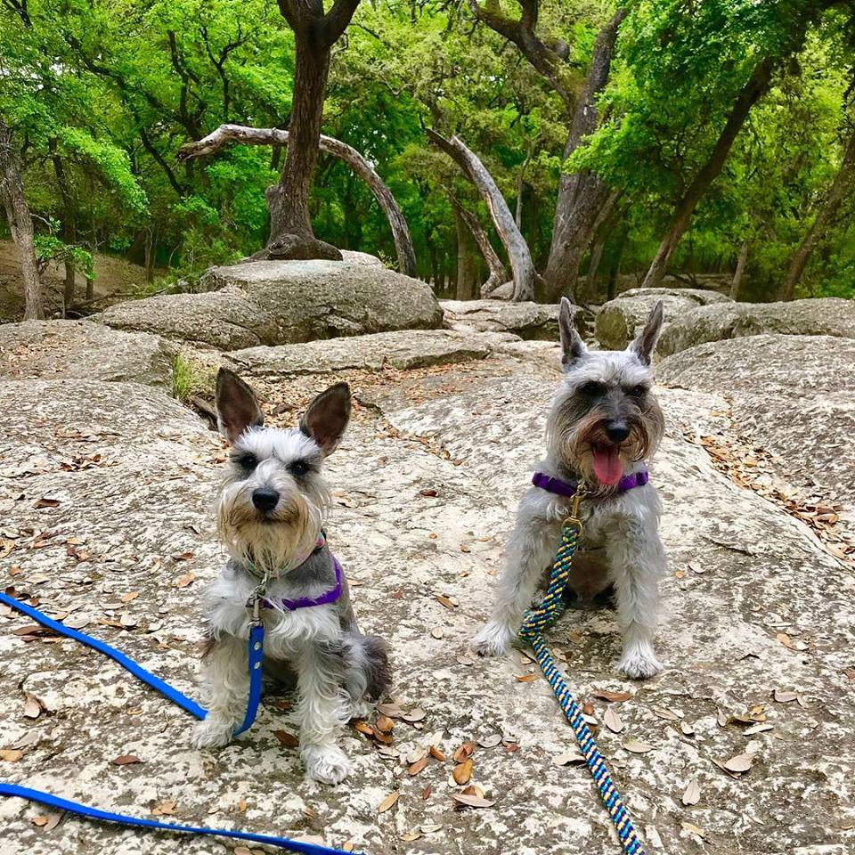 hiking-with-dogs-san-antonio