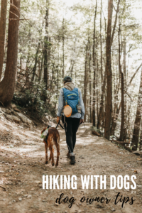 woman hiking with dog on wooded trail