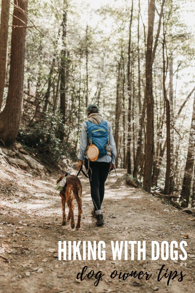 hiking with your dog