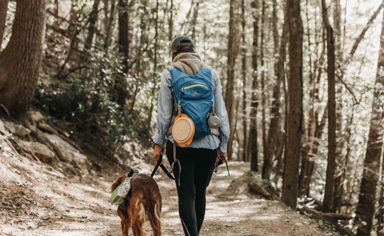 woman hiking with dog on wooded trail