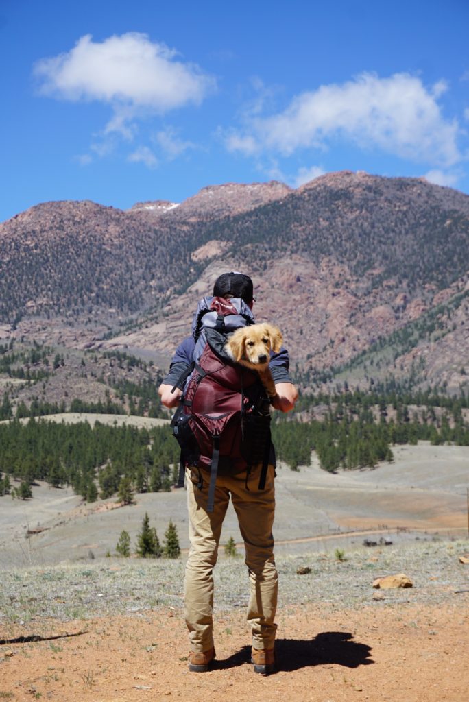 hiking-camping-with-dog