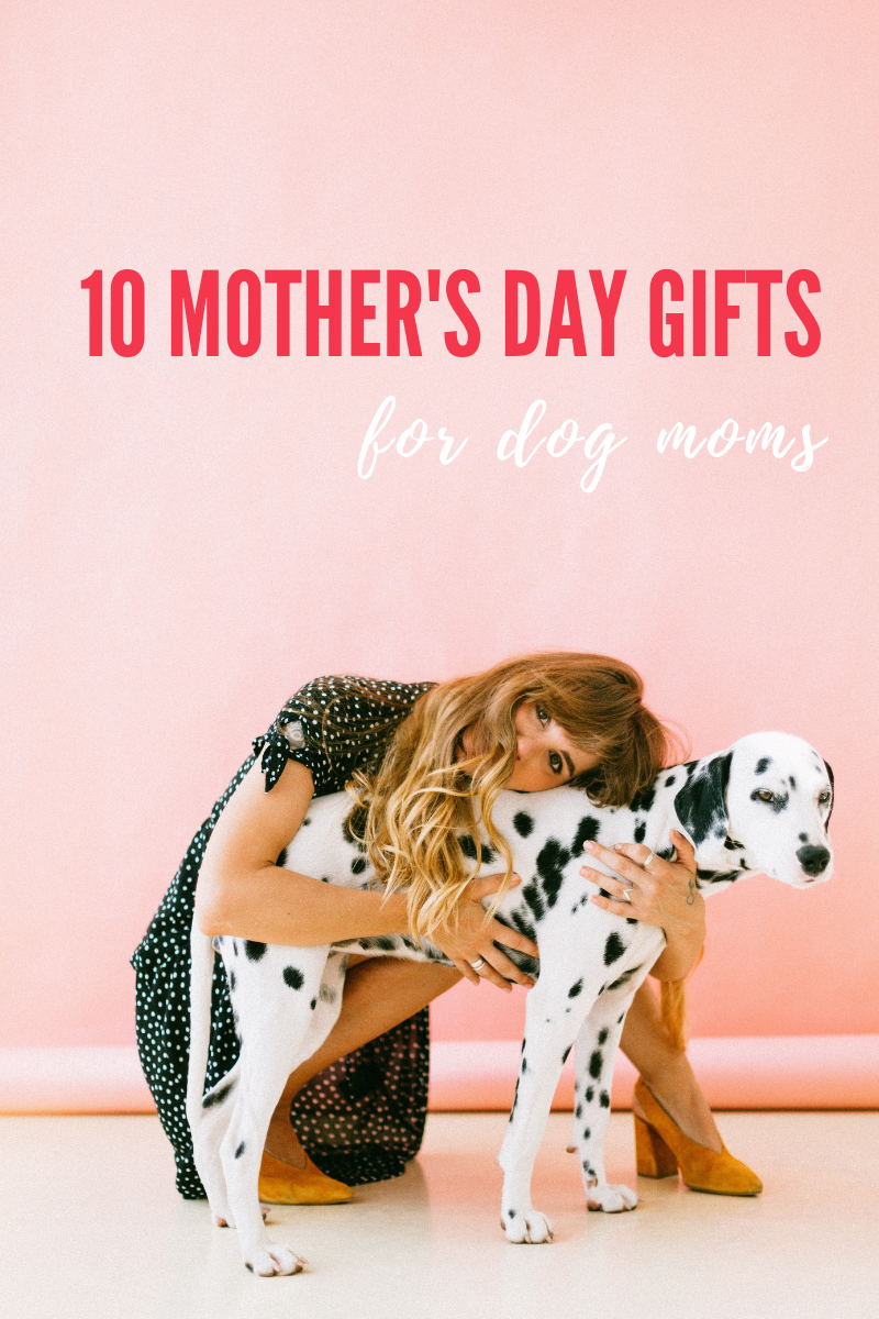 10 Mother's Day Gifts for Dog Moms in 2023  Gifts for pet lovers, Dog mom  gifts, Dog gifts