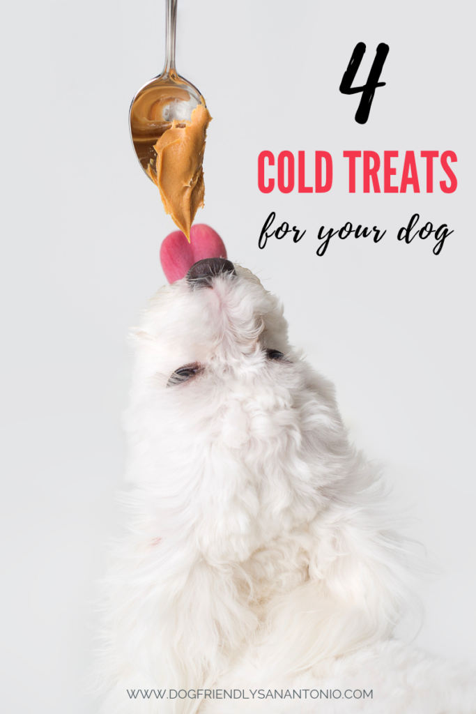 cold-treats-for-dogs