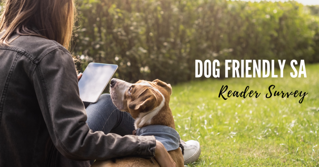 dog-friendly-san-antonio-reader-survey (2)