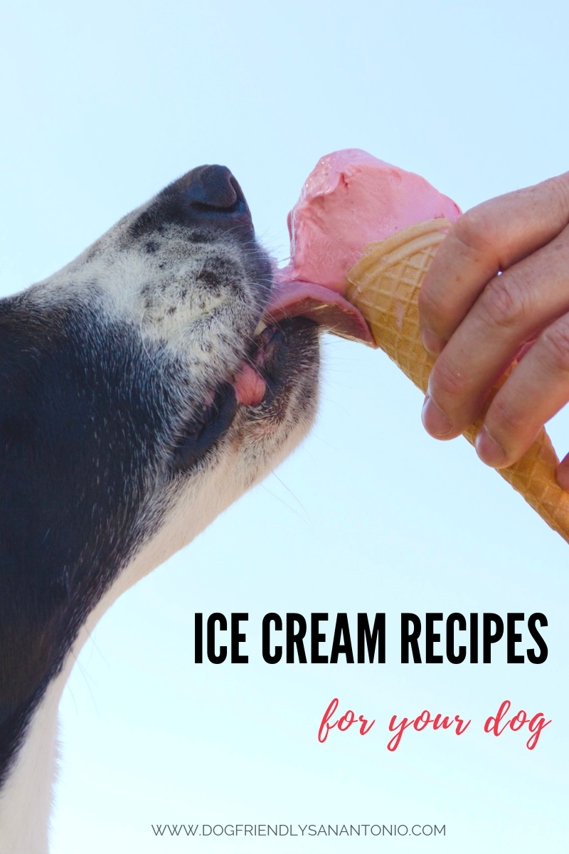 3 Doggone Delicious (and Easy!) Homemade Dog Ice Cream Recipes The