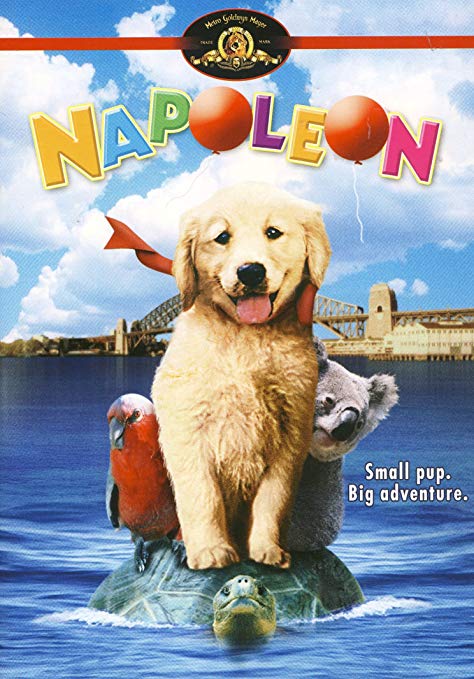 napoleon-dog-movie