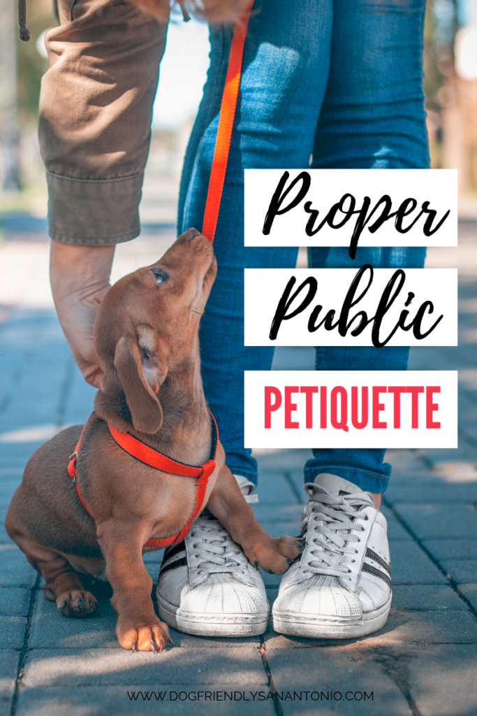 proper-public-petiquette