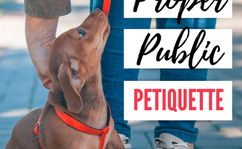 proper-public-petiquette