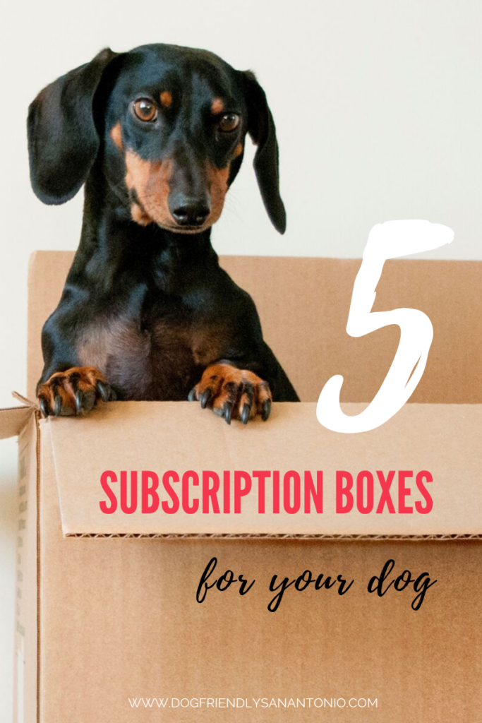 5-subscription-boxes-for-dogs