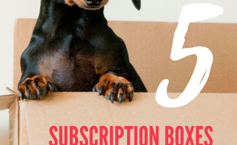 5-subscription-boxes-for-dogs