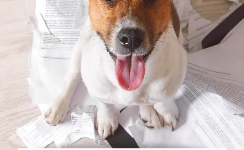 dog with eyes closed and tongue out sitting on paper mess he made