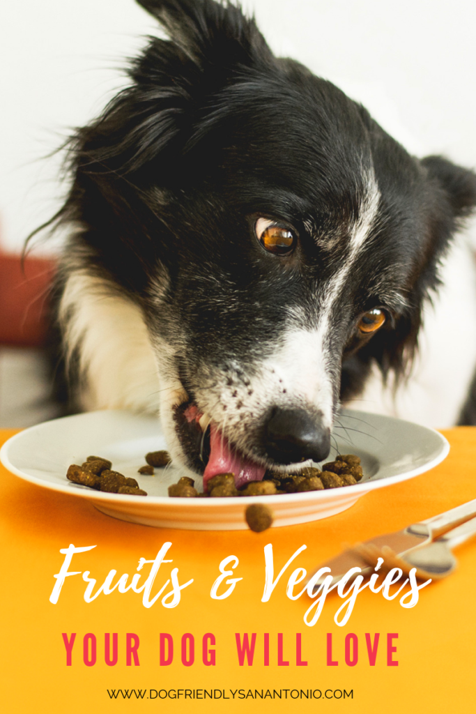 fruits-and-vegetables-for-dogs-wide