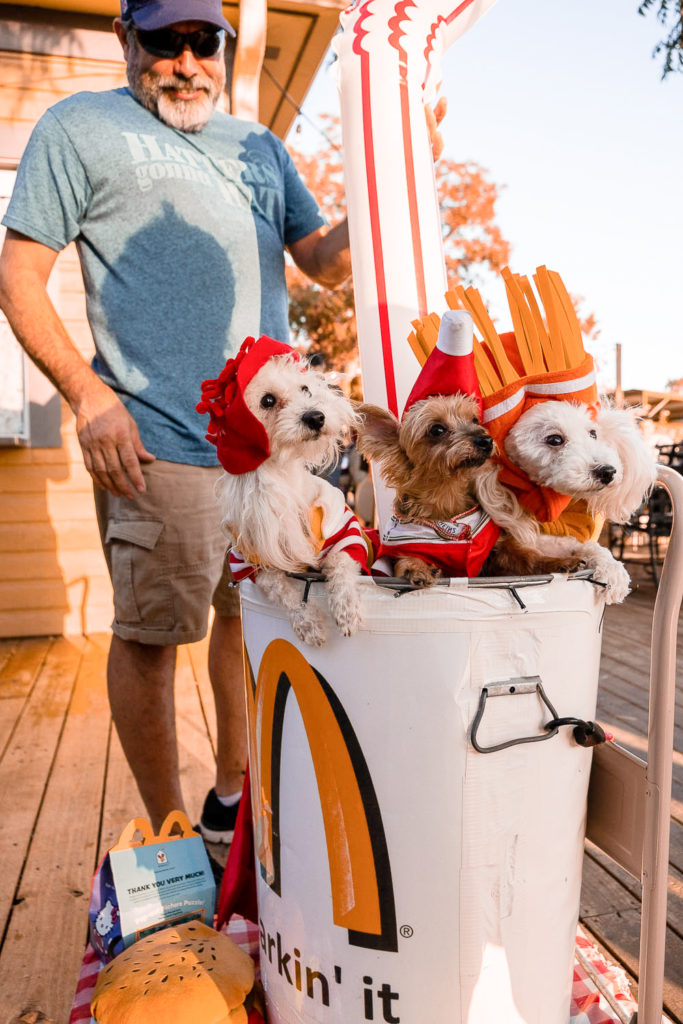 yappy meal group dog costume at fall fur fest