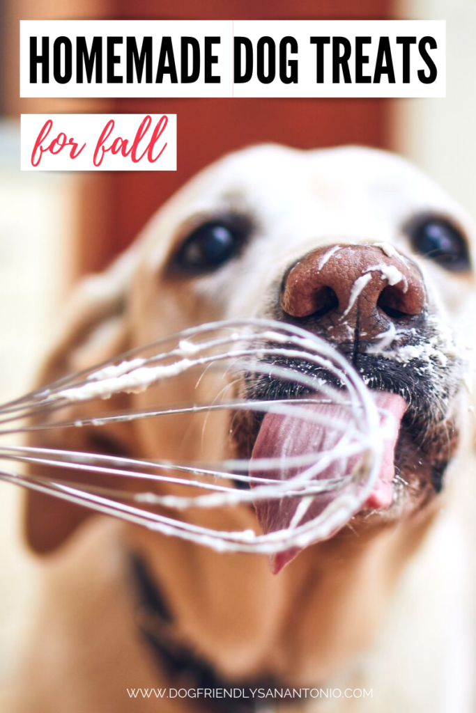 homemade-dog-treats-fall-long