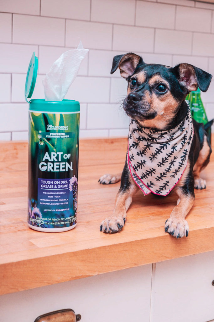 Pet Safe Cleaning with Art of Green Cleaning Products