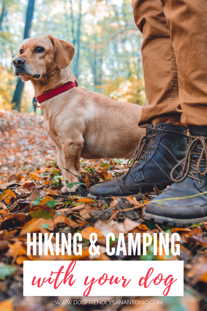 hiking-camping-with-dog