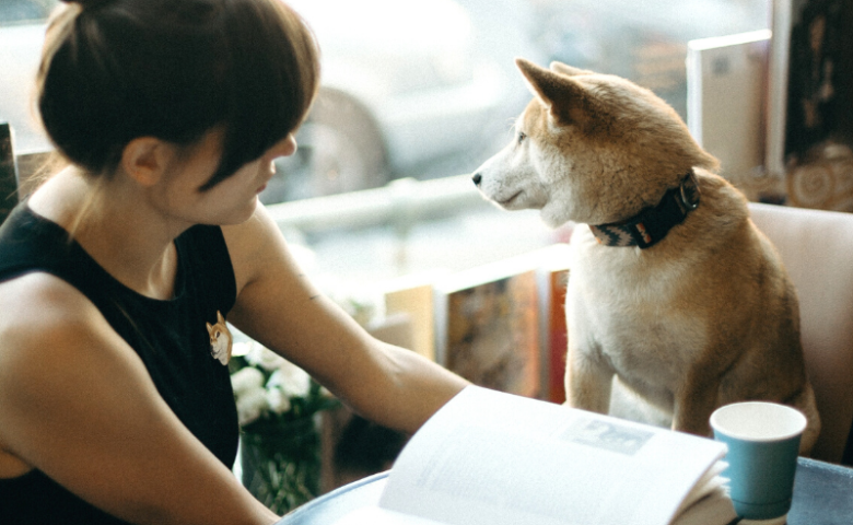 college woman with book and dog in cafe