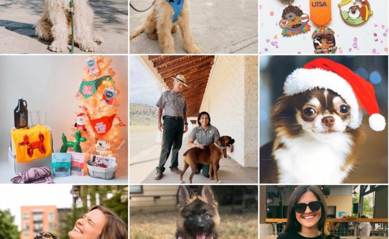 collage of nine photos featuring dogs from dog friendly san antonio's instagram page