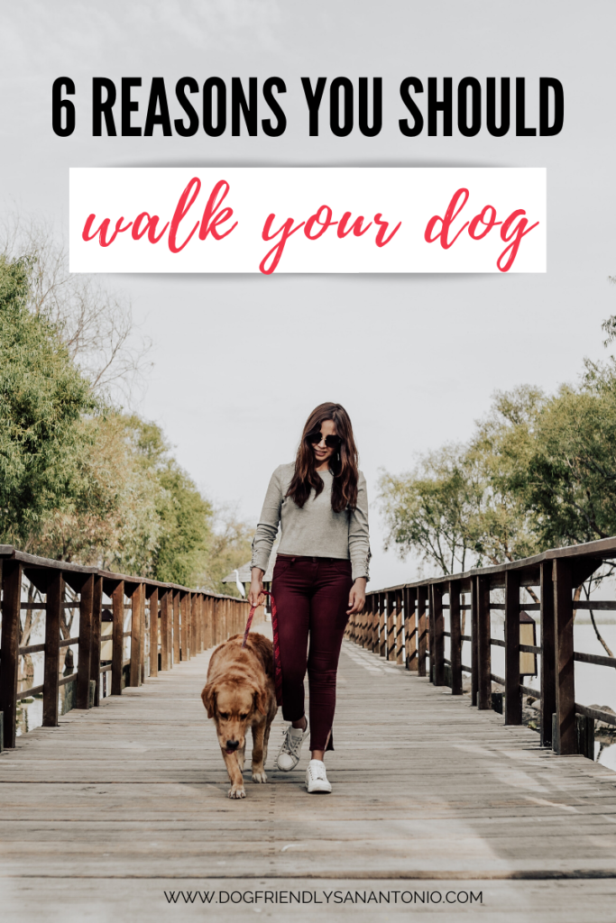 woman walking dog with caption above "6 reasons you should walk your dog"