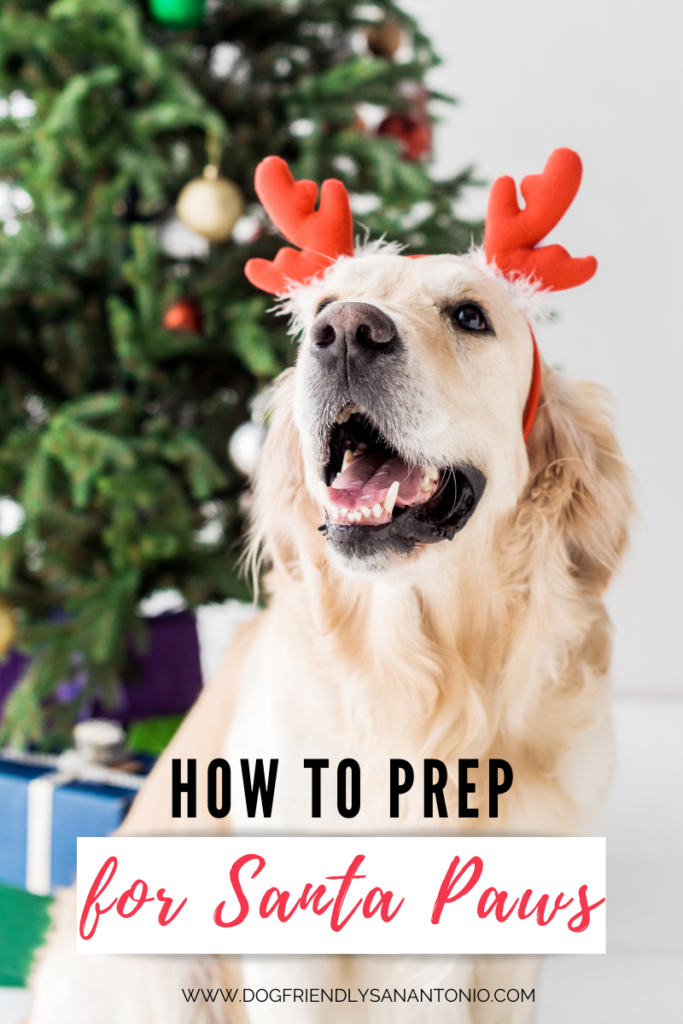 dog wearing red antlers sitting in front of christmas tree with caption below that reads 'how to prep for santa paws'