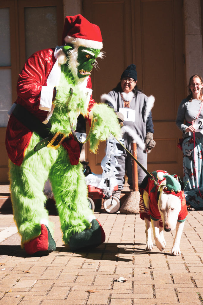 santa paws costume